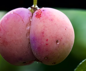 a plum